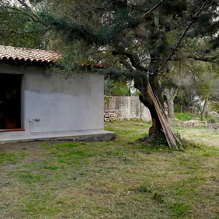 Una Casa Tra Gli Alberi