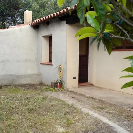 Una Casa Tra Gli Alberi Sant’Antonio di Gallura